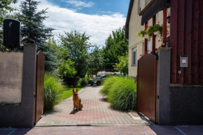 Muskáti apartman.Hunyadi.ut.6.sz.